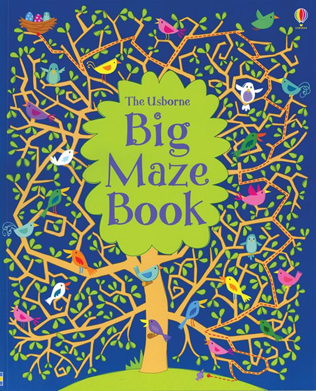 BIG MAZE BOOK