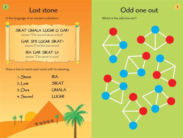 100 LOGIC PUZZLES