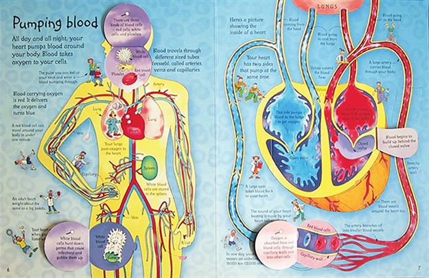 SEE INSIDE YOUR BODY (IR)