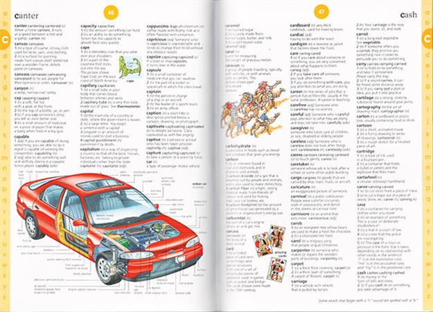 ILLUSTRATED DICTIONARY (IR)