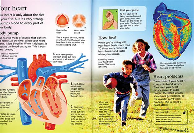 First Encyclopedia of the Human Body (IL)