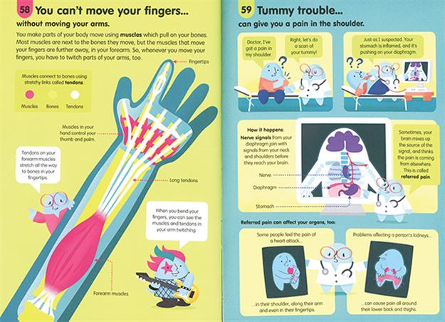 100 THINGS TO KNOW ABOUT THE HUMAN BODY (IR)