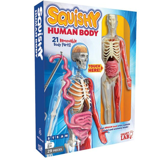 SQUISHY HUMAN BODY