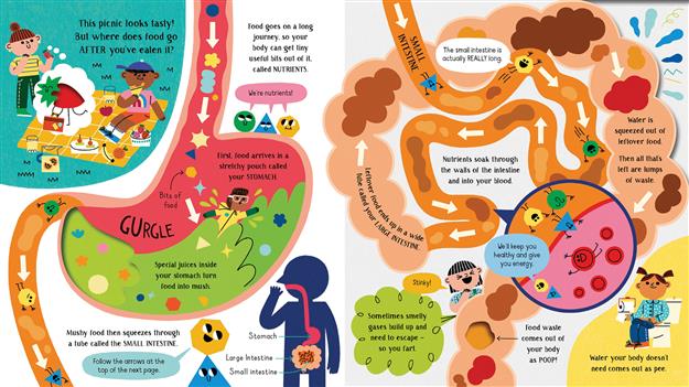 STEP INSIDE SCIENCE: YOUR BODY (IR)