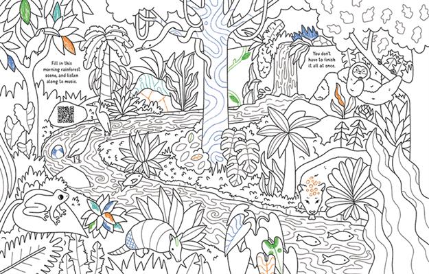 CALMING NATURE ACTIVITY BOOK (QR)