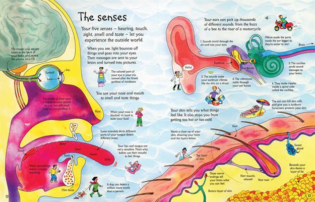 SEE INSIDE YOUR BODY (IR)